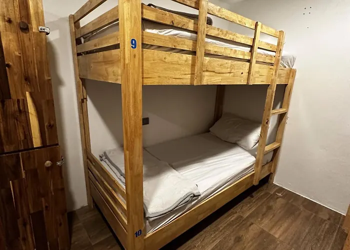 Monkey'S Hostel